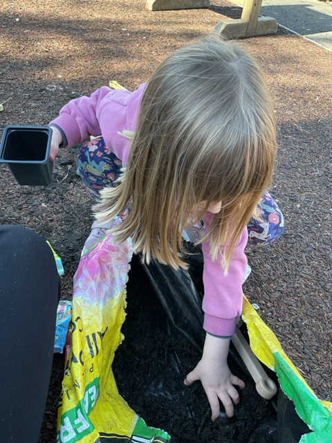 795538172781 A79fa2f0b5dffadc7c819da4d8f7ca32