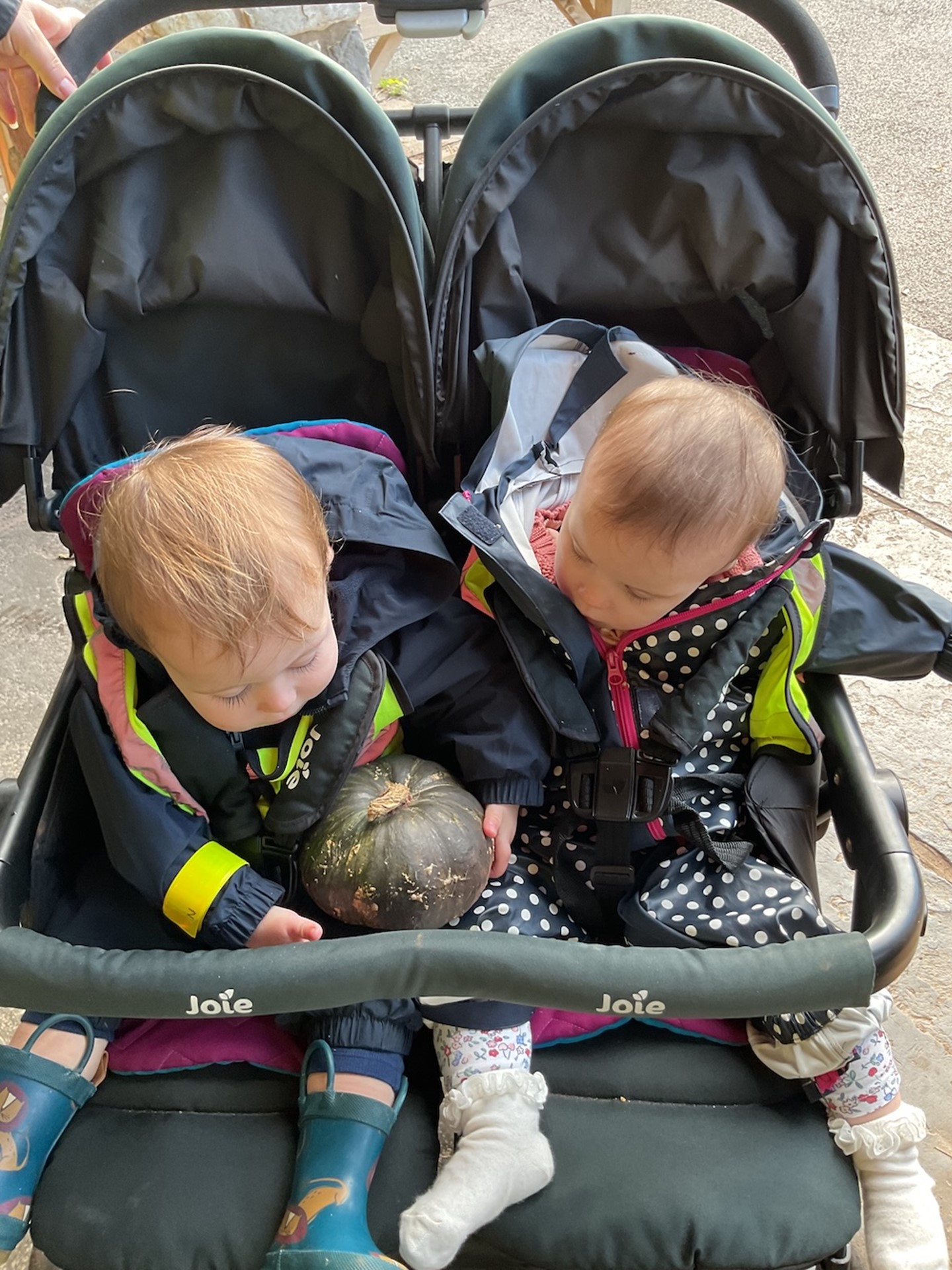 Babies (23)