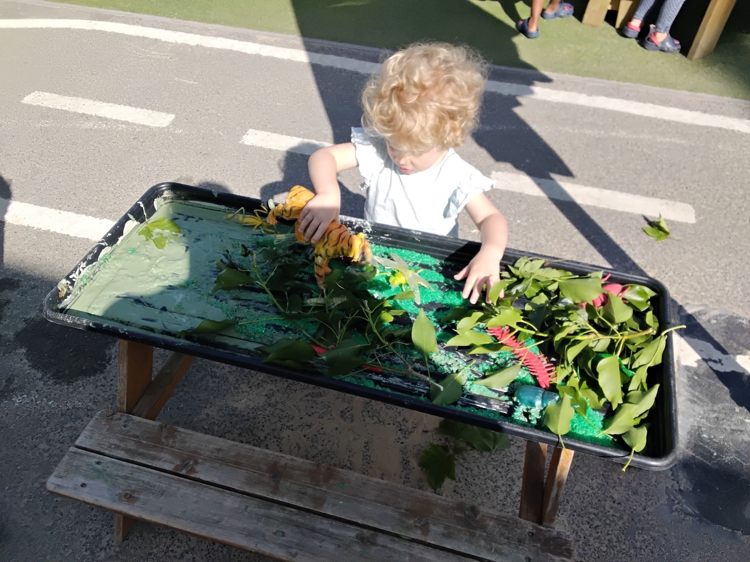Kg14